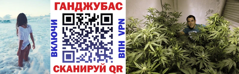 купить   Истра  Марихуана сатива 